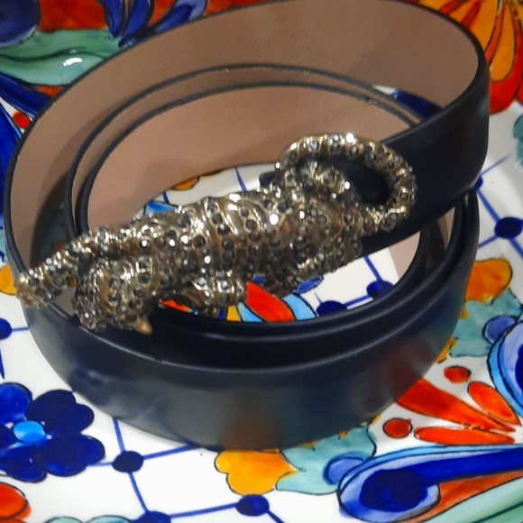 Cheetah Black Belt - Picture 6 of 11